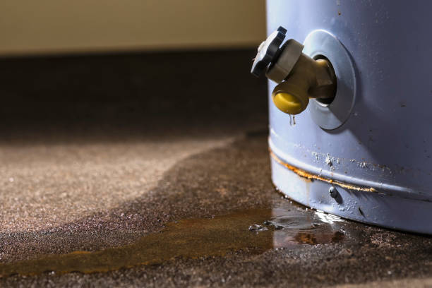 Best Flood restoration services  in Copiague, NY