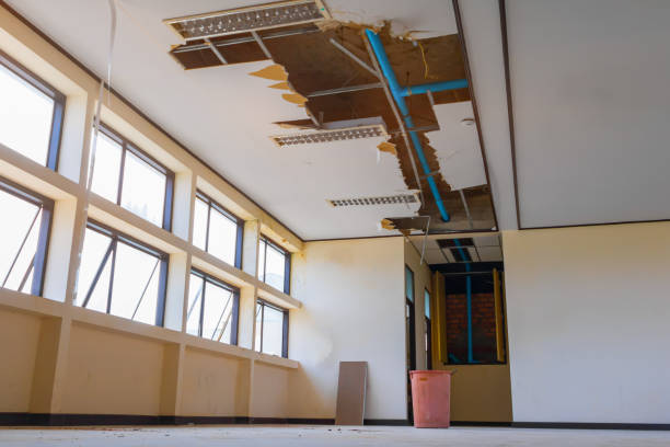 Best Water damage restoration near me  in Copiague, NY