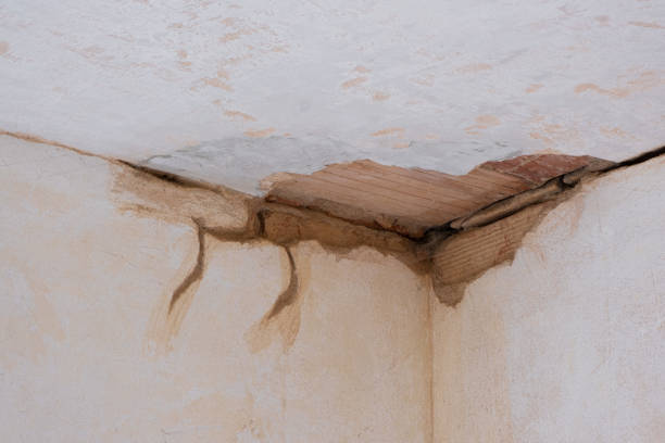 Best 24/7 water damage repair  in Copiague, NY