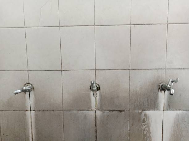 Best Water damage contractors near me  in Copiague, NY